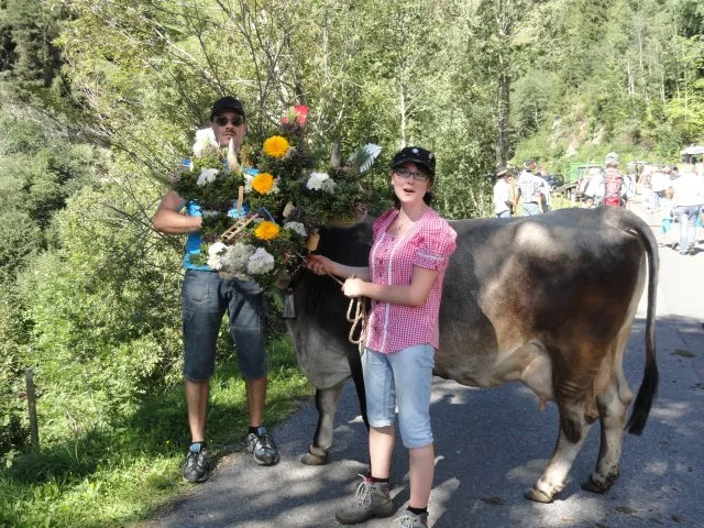 Almabtrieb am Bauernhof
