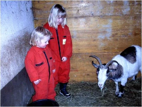 Kinder im Stall bei den Tieren